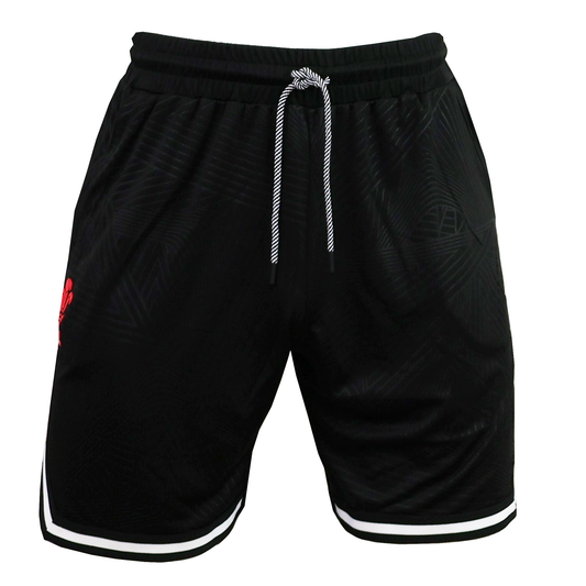 Wales 25/26 Basketball Shorts by Macron