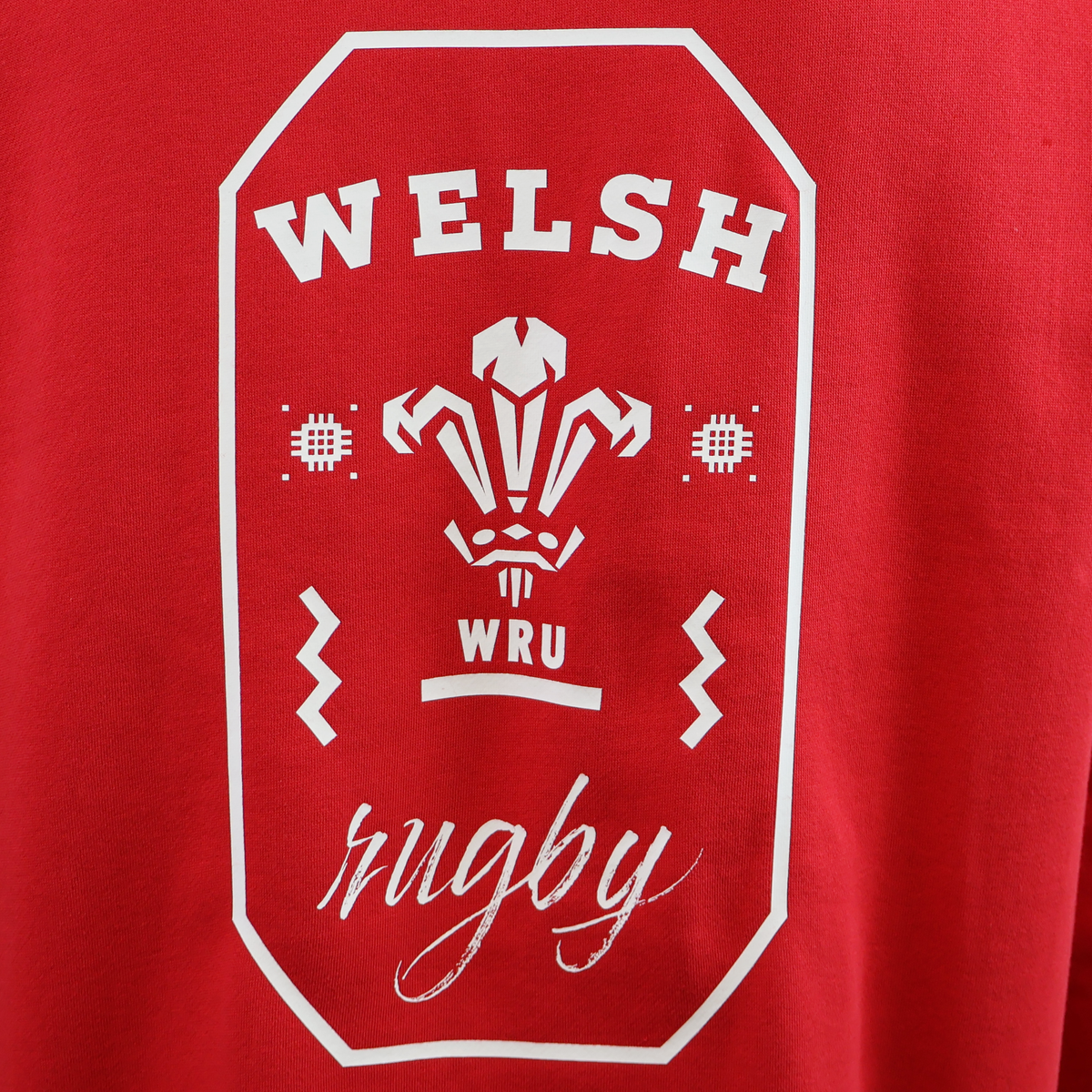 Wales 25/26 Welsh Rugby Cotton Fan Hoodie by Macron