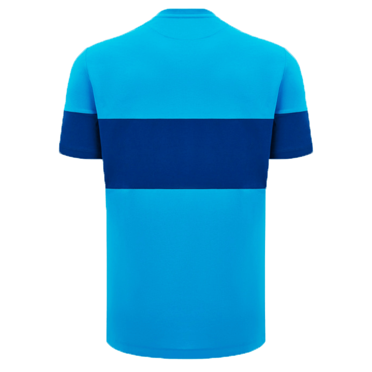 Scotland Block Leisure Tee 24/25 by Macron