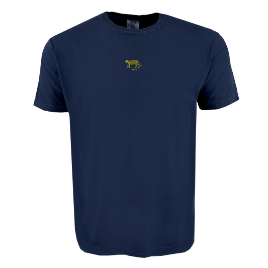 Argentina Vintage Comfort Tee