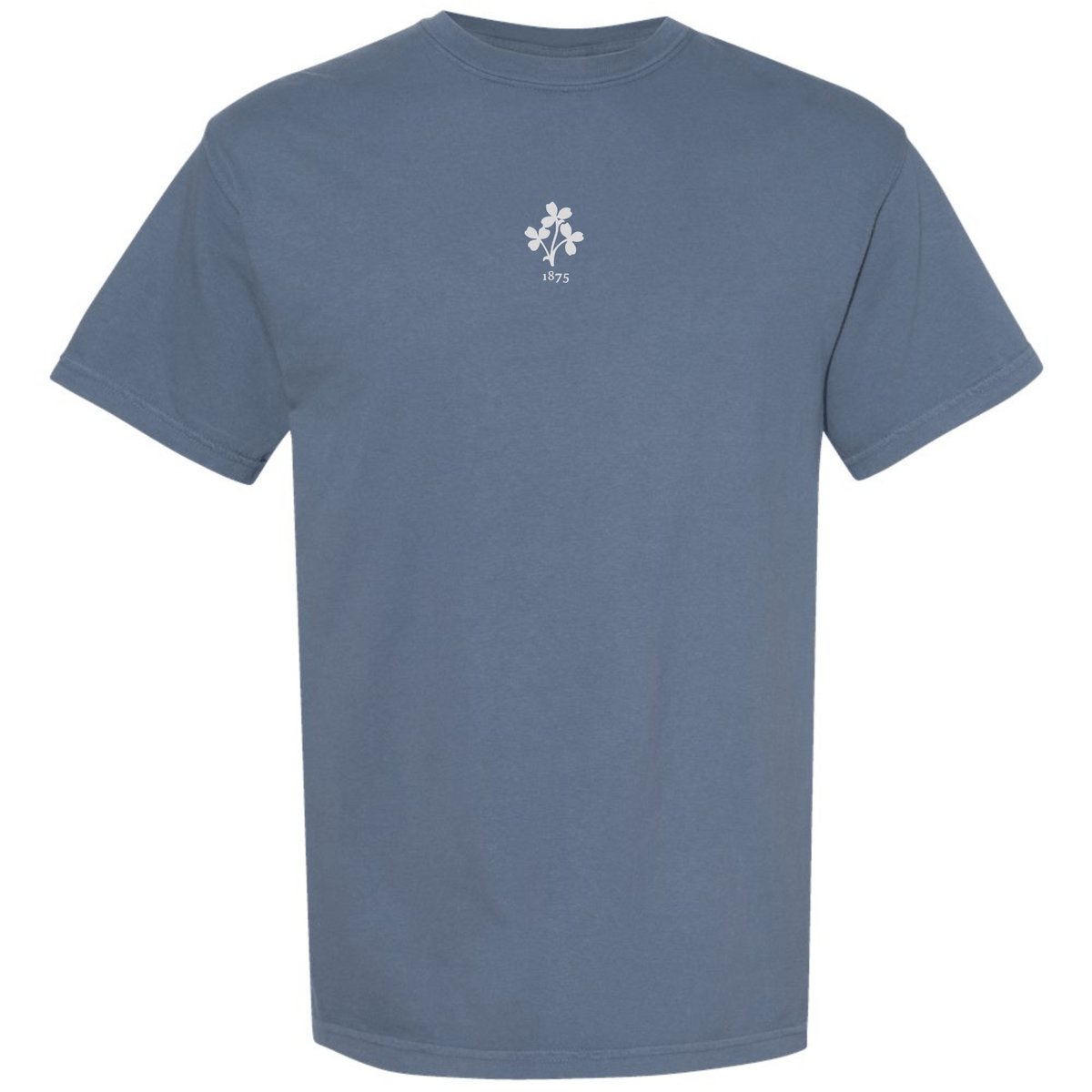 Ireland Vintage Comfort Tee