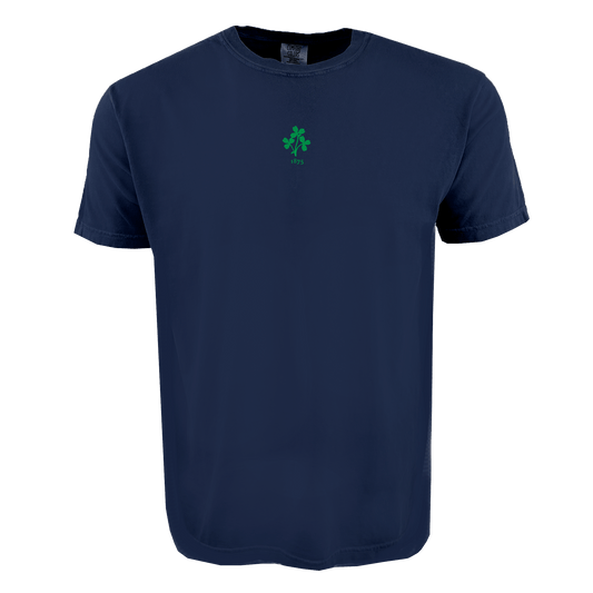 Ireland Vintage Comfort Tee