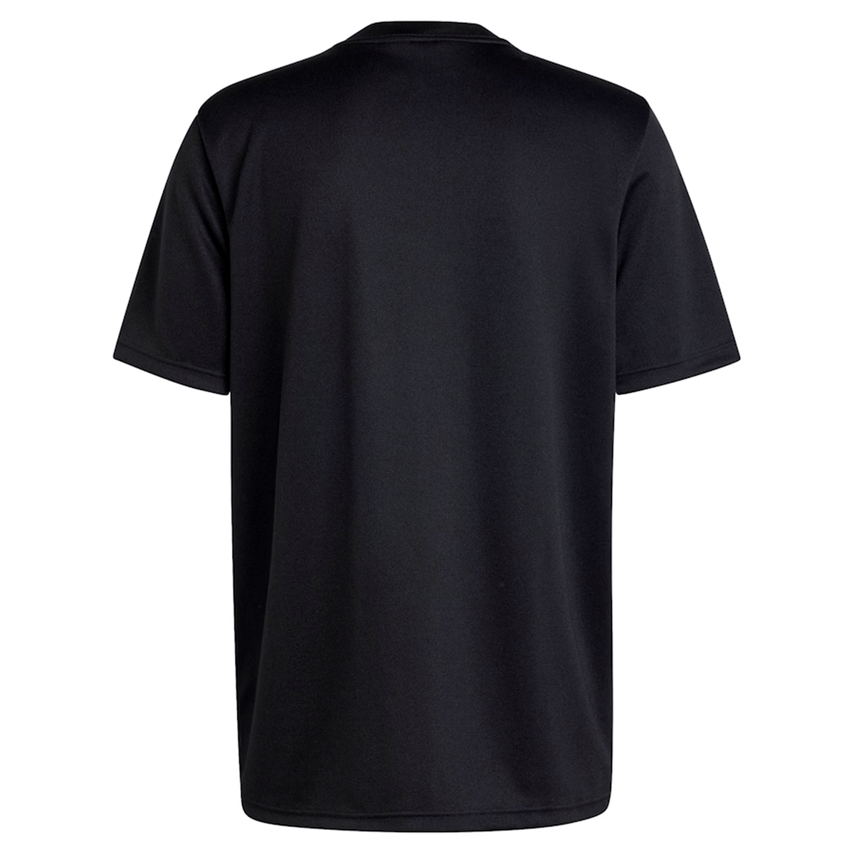 All Blacks 24/25 Supporters T-Shirt by Adidas