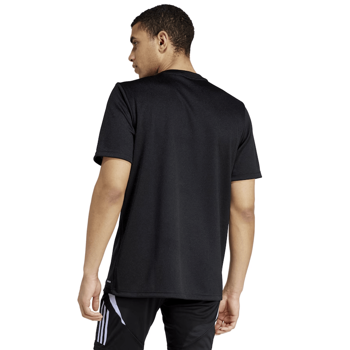 All Blacks 24/25 Supporters T-Shirt by Adidas