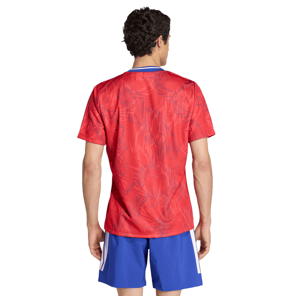 France Rugby Prematch Jersey by adidas