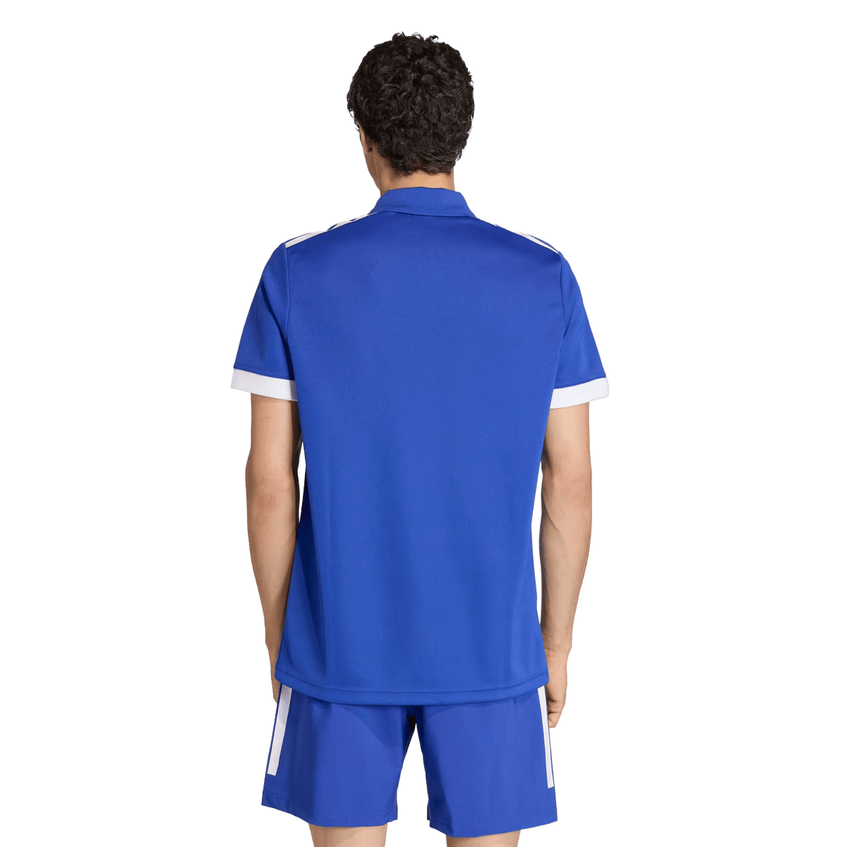 France FFR Home Supporters Replica Polo by adidas