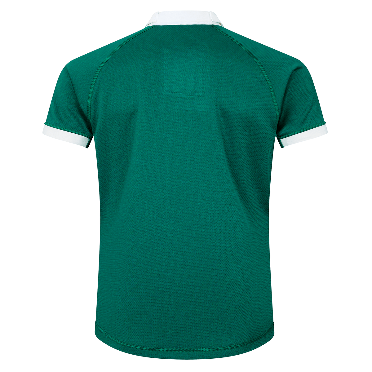 Ireland 25/26 Home Test Jersey by Canterbury