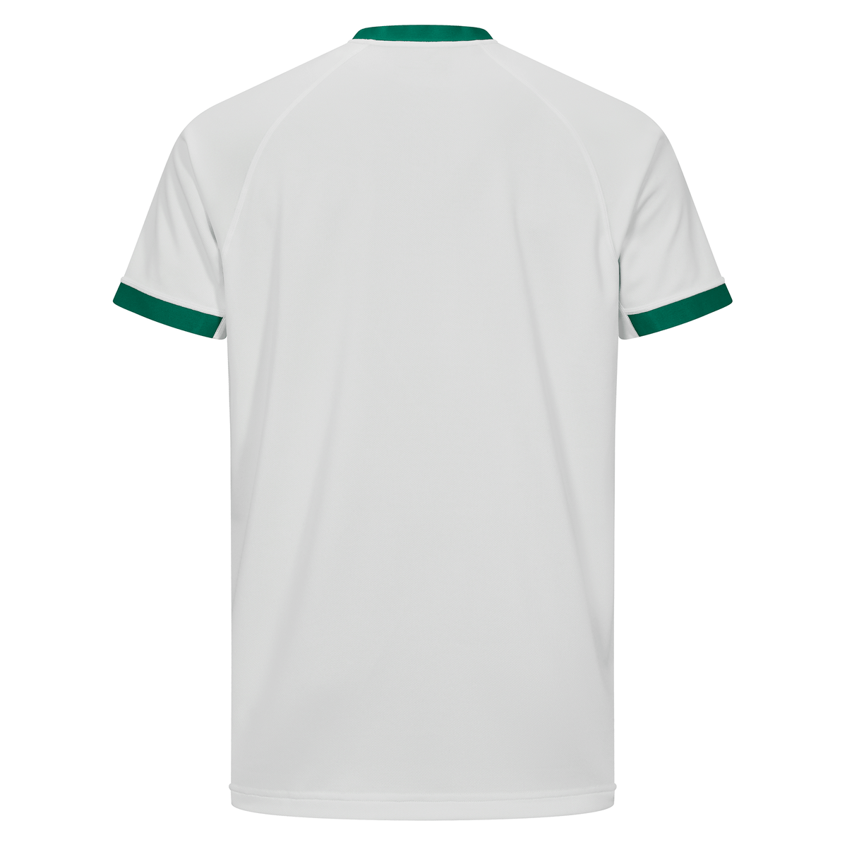 Ireland 25/26 Alternate Pro Jersey by Canterbury