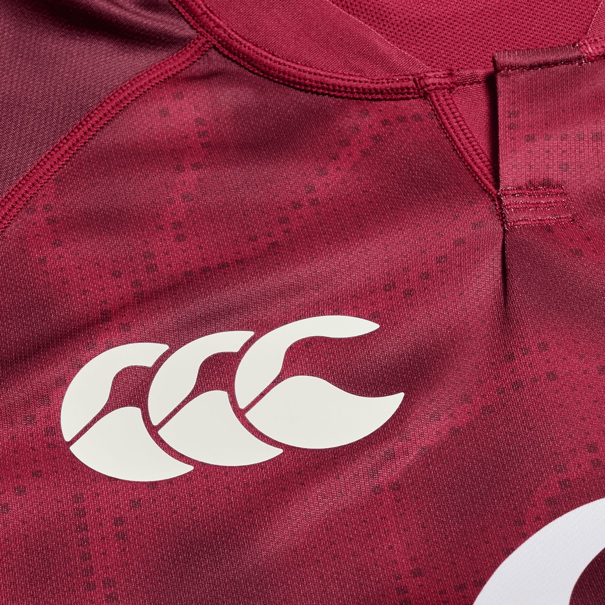 Ireland 25/26 Autumn Internationals Pro Training Jersey by Canterbury