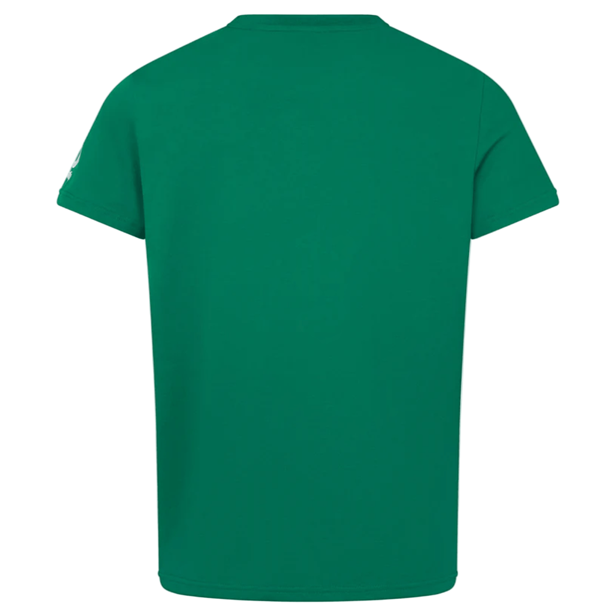 Ireland 25/26 Team Cotton Tee by Canterbury
