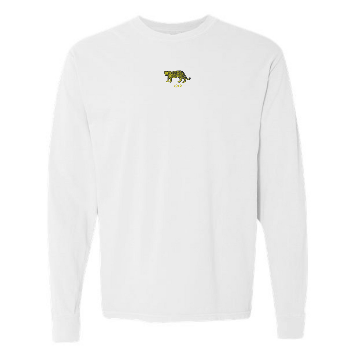 Argentina Vintage Long Sleeve Comfort Tee
